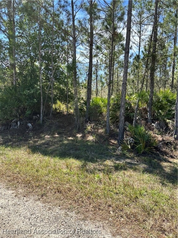 628 Barclay St, Lake Placid, FL 33852 - photo 2