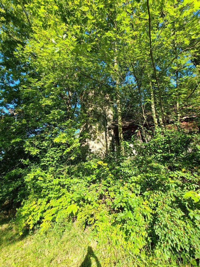 6911 Number Five Rd, Pleasant Plain, OH 45162 - photo 7