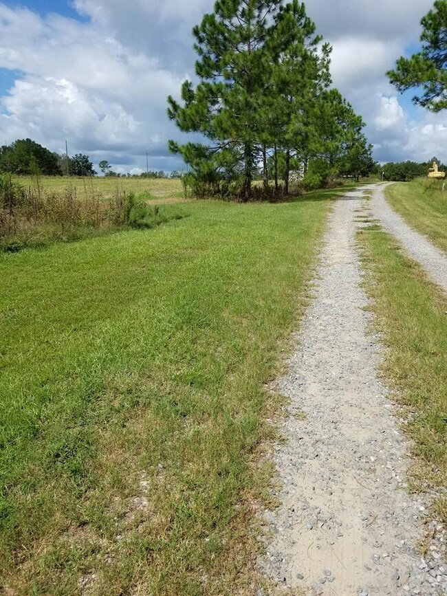 274 Wildwood Rd unit na, West Green, GA 31567 - photo 6