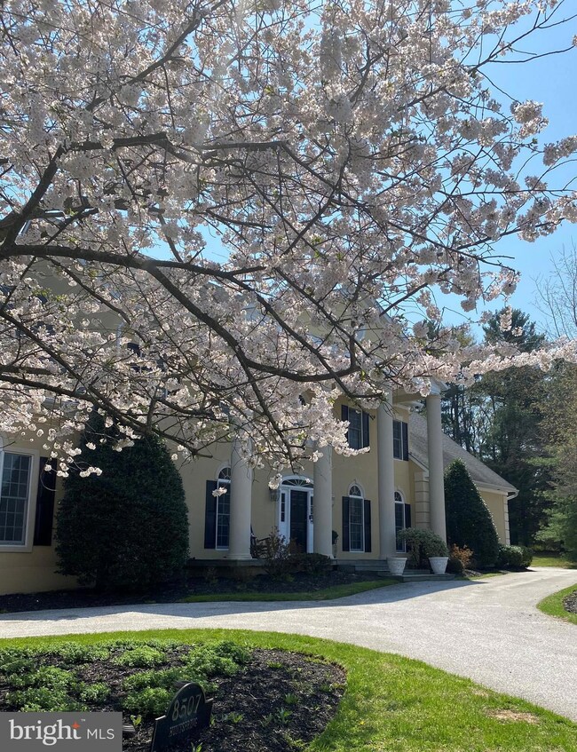 8507 Huntspring Dr, Lutherville Timonium, MD 21093 - photo 3