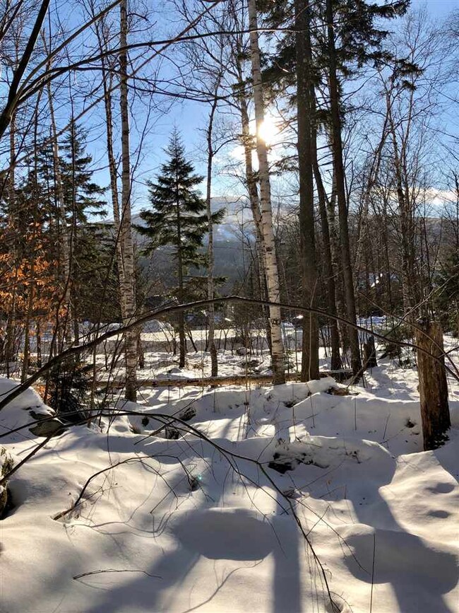 723 Stone House Rd unit F22, Winhall, VT 05155 - photo 3