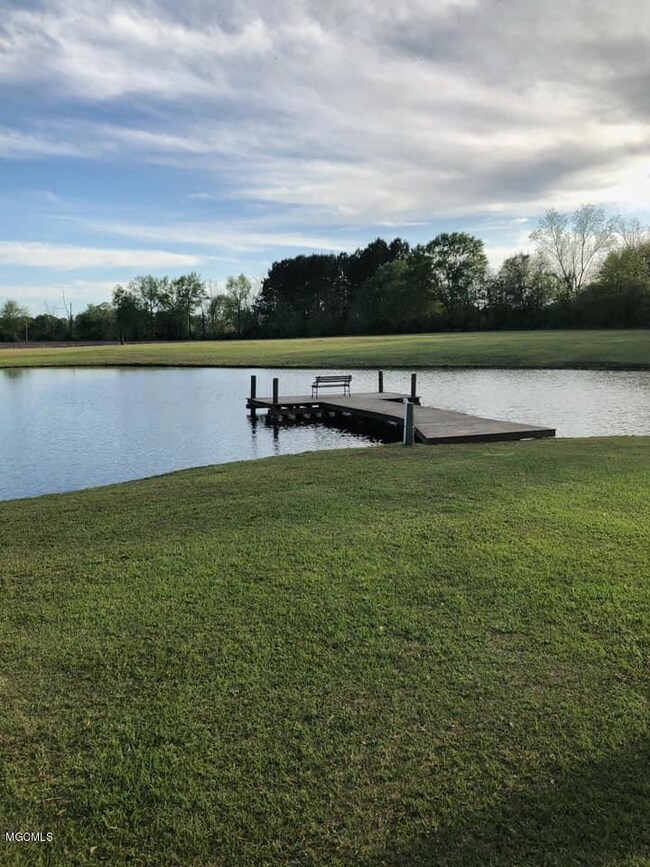 Pond