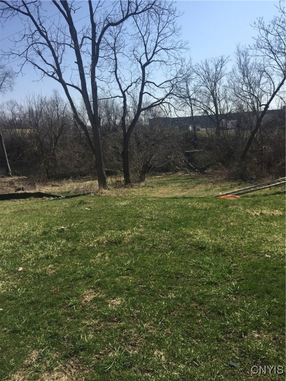 66 West St unit 68, Auburn, NY 13021 - photo 2