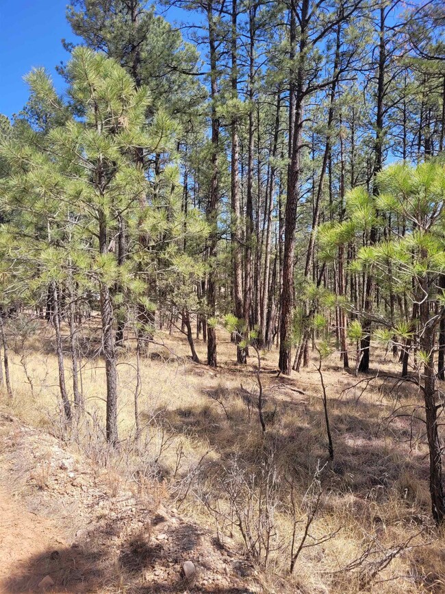 25,26,27 Damascus Rd, Timberon, NM 88350 - photo 5