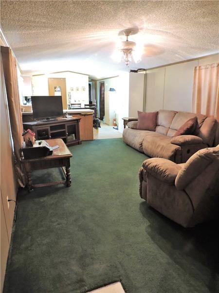 Living room 17x14. 2 windows, wall to wall carpet,