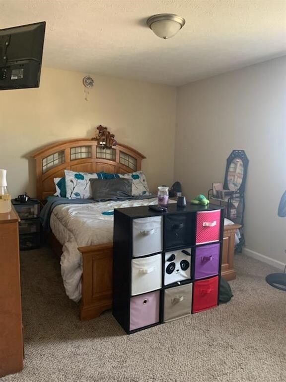 2984 W Sampler Ln, Monrovia, IN 46157 - photo 5