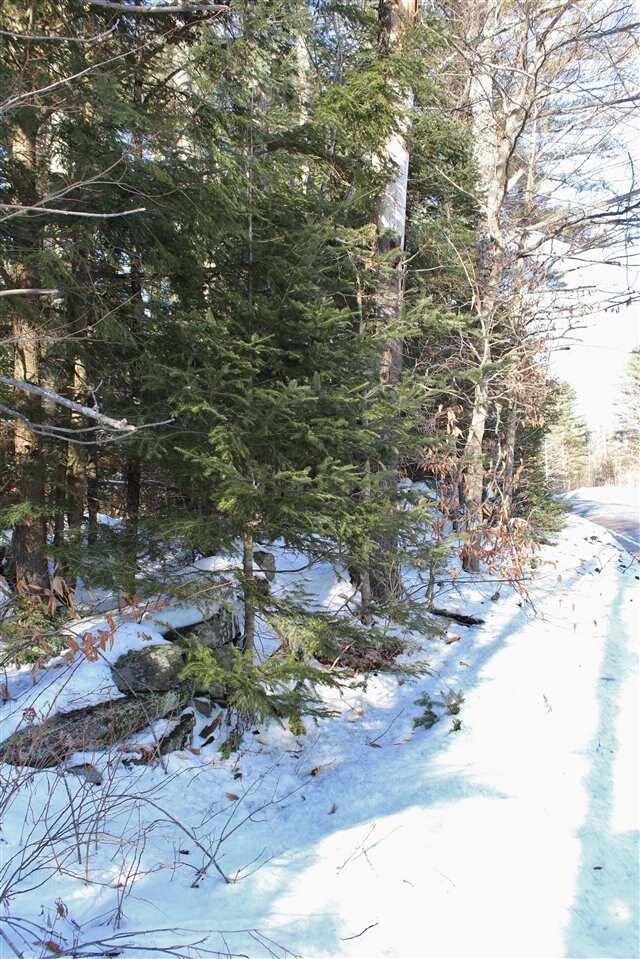 0 20 Mile Stream Rd, Cavendish, VT 05142 - photo 7