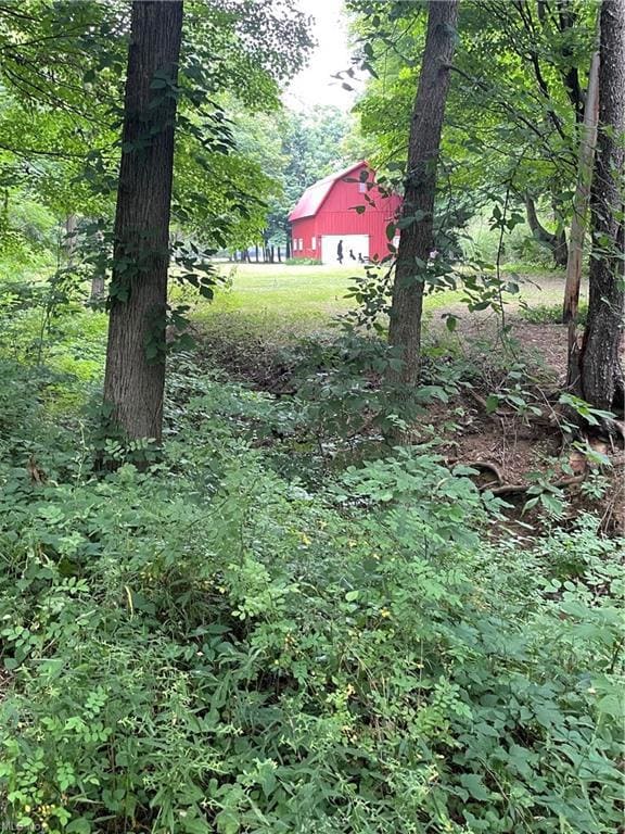 Unique property with barn