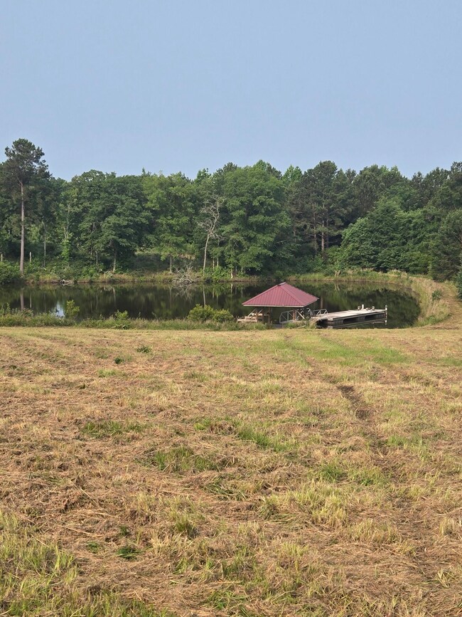 20250531_091825_resized