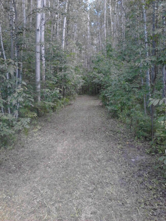 Mills Rd. driveable road