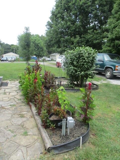 Photo 4