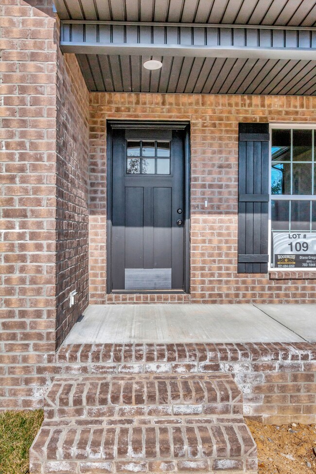 505 Rose Ln, Shelbyville, TN 37160 - photo 5