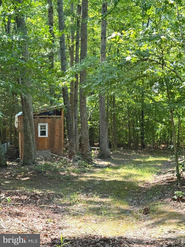 0 Rapidan Farms Dr unit VACU2008410, Lignum, VA 22726 - photo 5