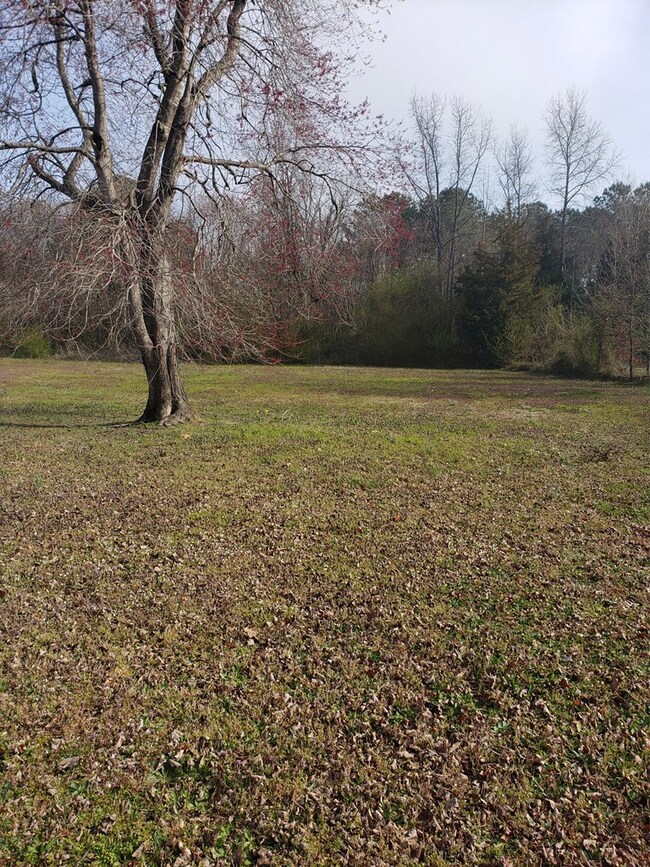 0 W 10th St, Roanoke Rapids, NC 27870 - photo 2