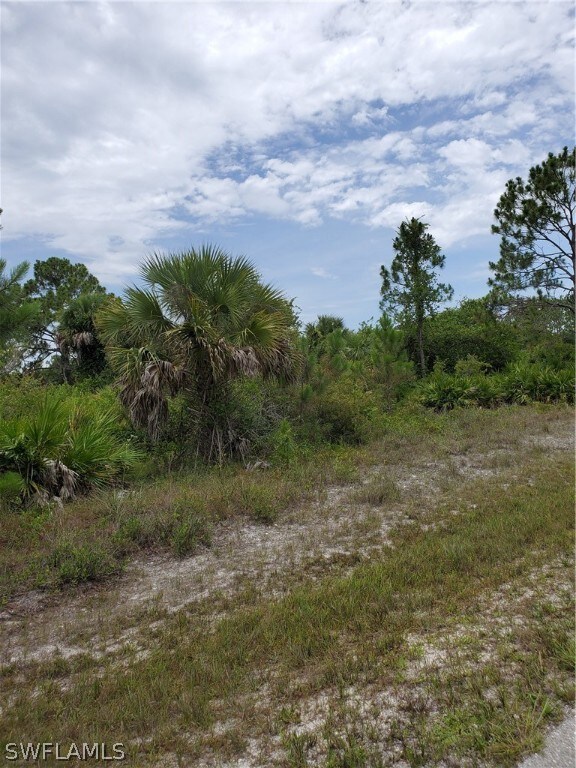 3313 51st St W, Lehigh Acres, FL 33971 - photo 4