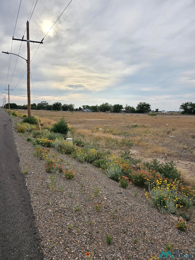 00 E Hobson Rd, Roswell, NM 88203 - photo 4