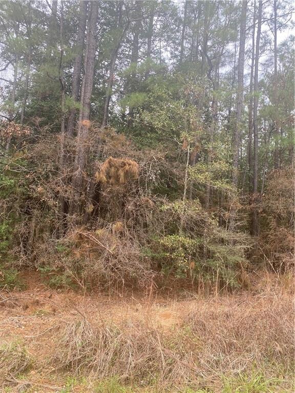 0 Graham Rd, Leesville, LA 71446 - photo 4