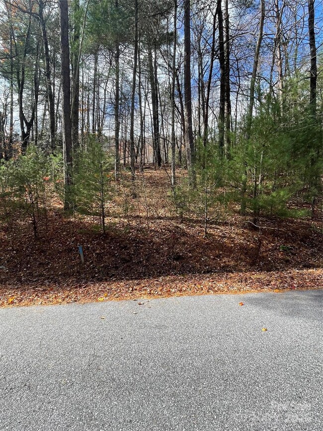 00 Pinnacle Falls Ln, Zirconia, NC 28790 - photo 2