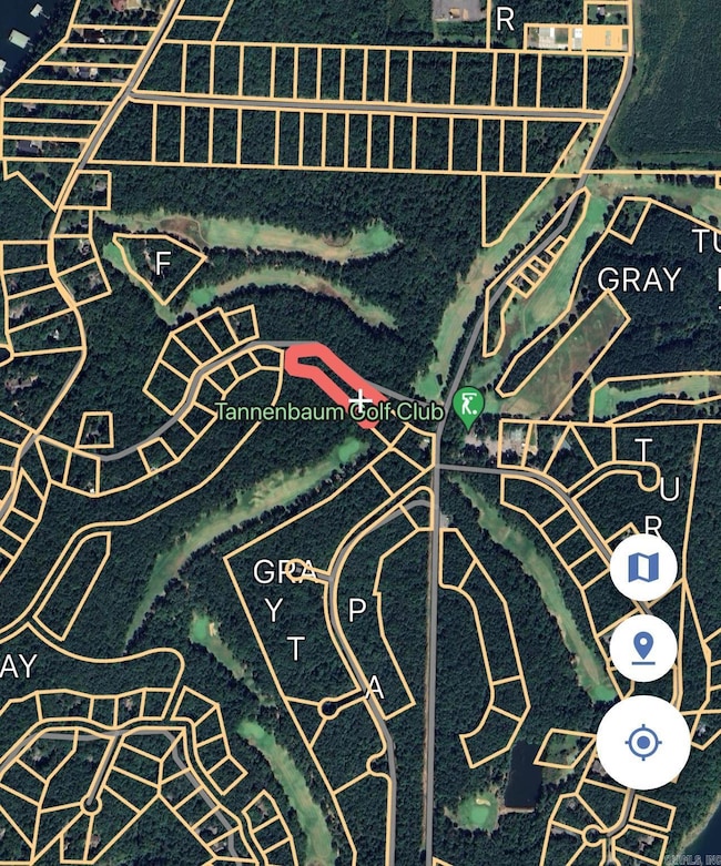 Lot 461 Tannenbaum Rd, Drasco, AR 72530 - photo 3