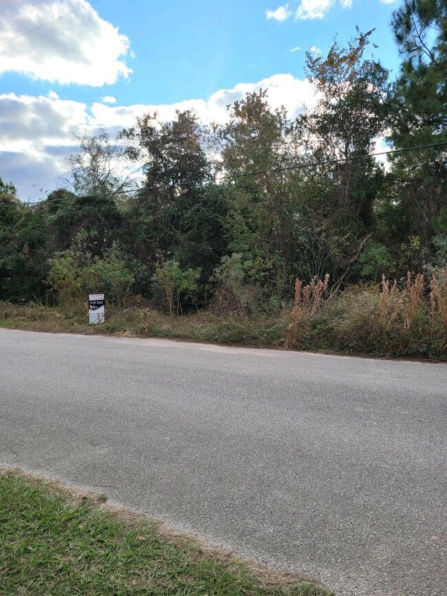 27N E Longwoods Meadows, Cypress, TX 77429 - photo 6