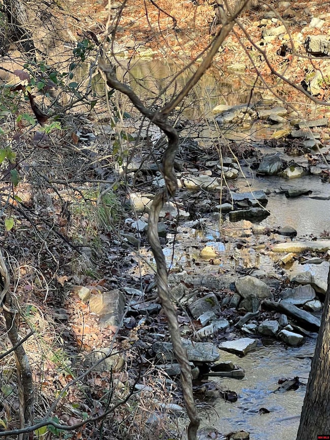 001-08378-001 Highway 62 W, Pyatt, AR 72672 - photo 2