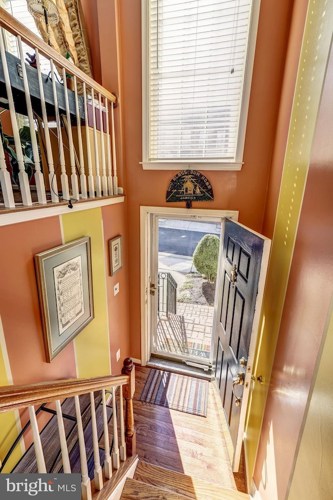 6236 Shackelford Terrace, Alexandria, VA 22312 - photo 2