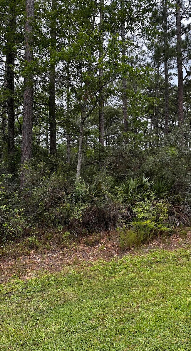 Lot 9 Bayside Dr, Freeport, FL 32439 - photo 3