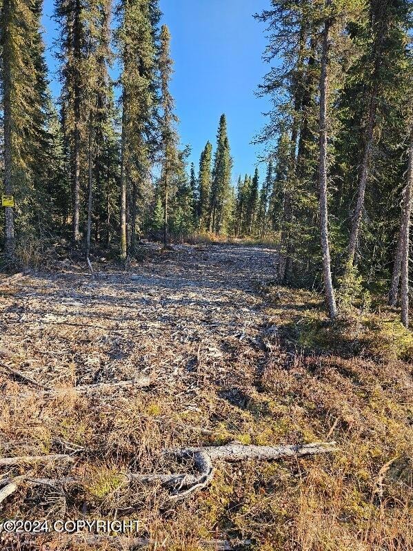 L3 Erlwein Cir, Sterling, AK 99669 - photo 3