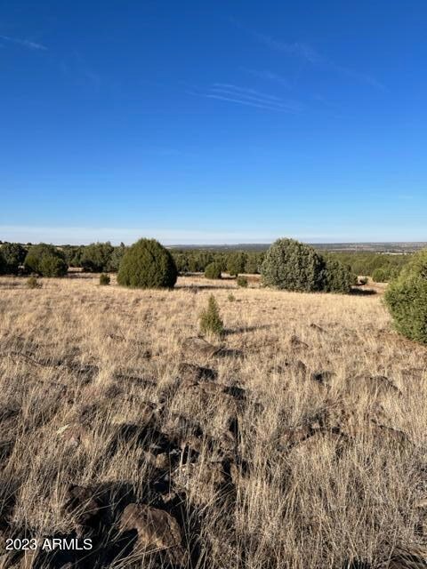 TBD Colt Ln, Show Low, AZ 85901 - photo 3