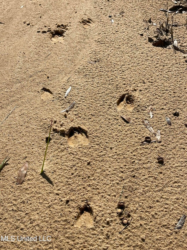 14119 US Highway 98, Lucedale, MS 39452 - photo 5