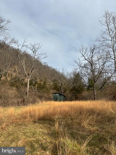 866 Wildlife Dr, Lost City, WV 26810 - photo 5