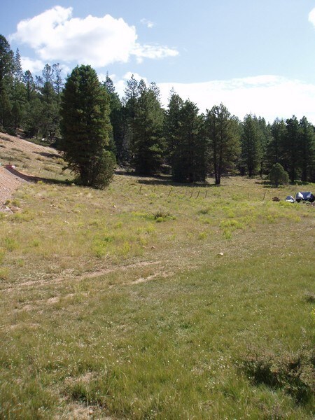 Level Lot with Grass