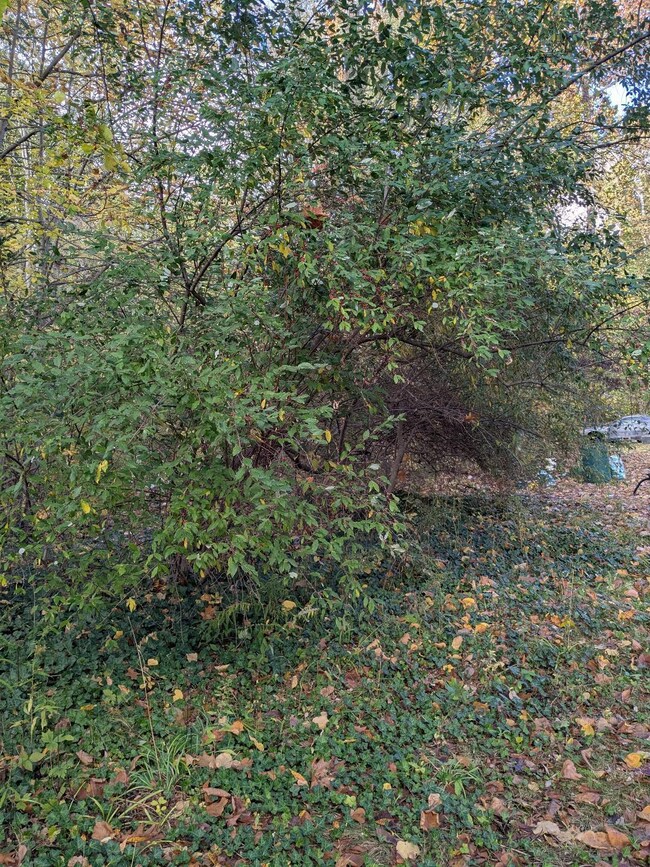 66991 Winding River Rd, Constantine, MI 49042 - photo 4