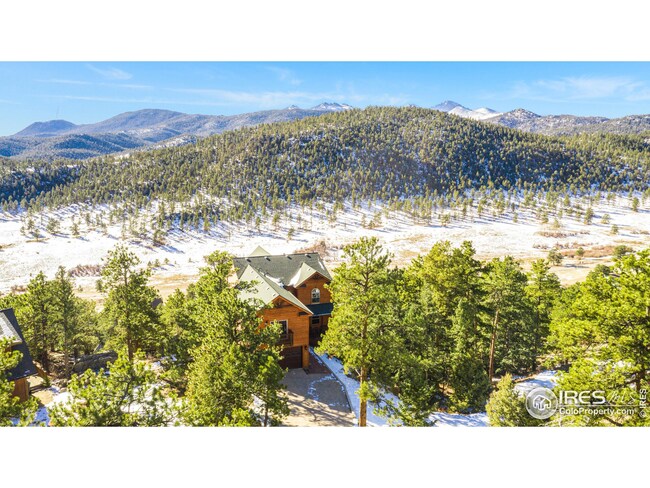 Stunning setting among the trees