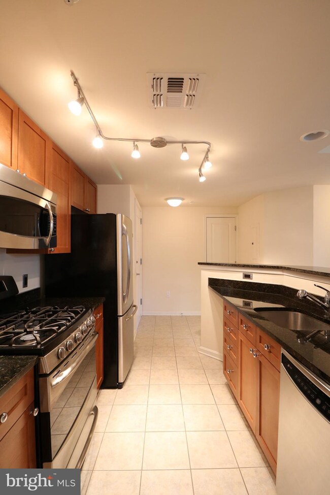 The Crescent unit 403, Silver Spring, MD 20910 - photo 6