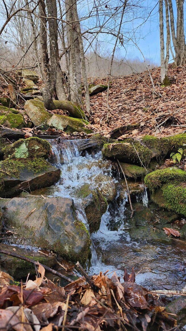 Simms Mountain Farm 009