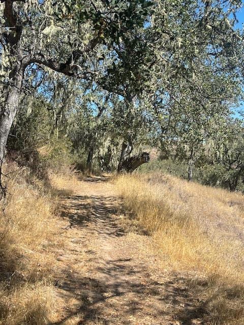 0 Cachagua unit ML82026938, Carmel Valley, CA 93924 - photo 5