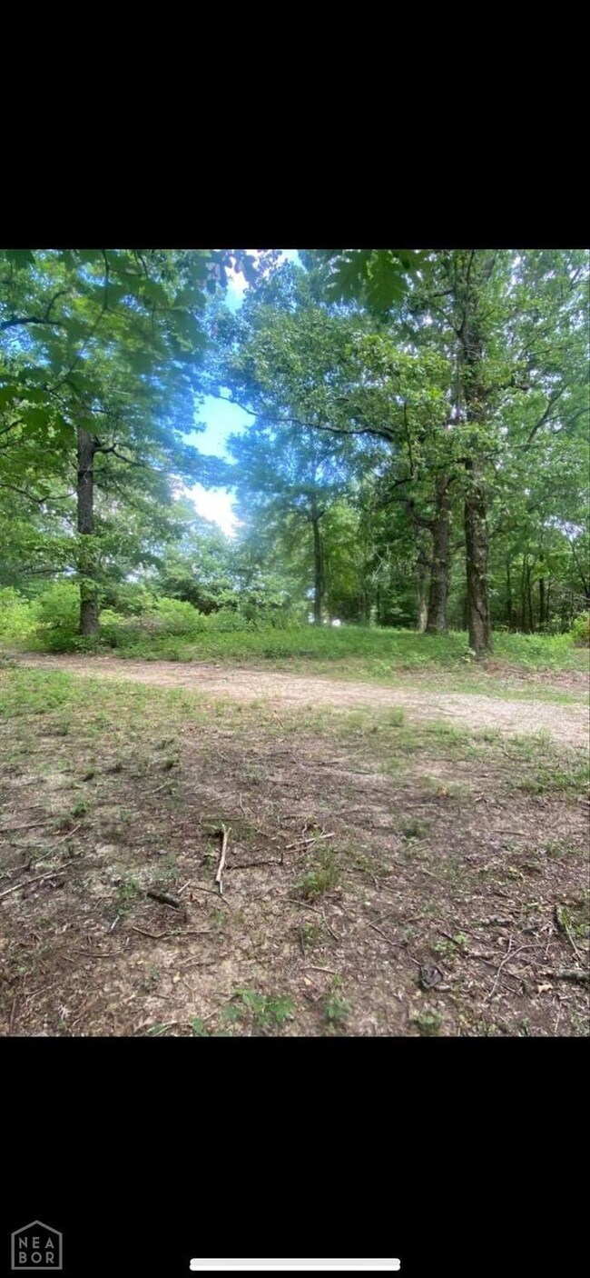 0 Fairview Rd, Paragould, AR 72450 - photo 6