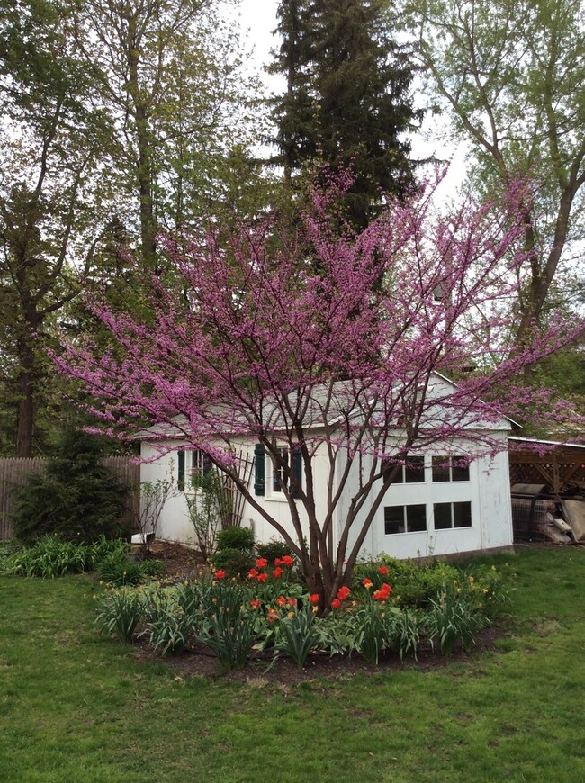 330 N Jefferson St, Batavia, IL 60510 - photo 6