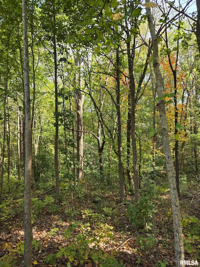 TBD State Highway 145 S Hwy, Metropolis, IL 62960 - photo 3