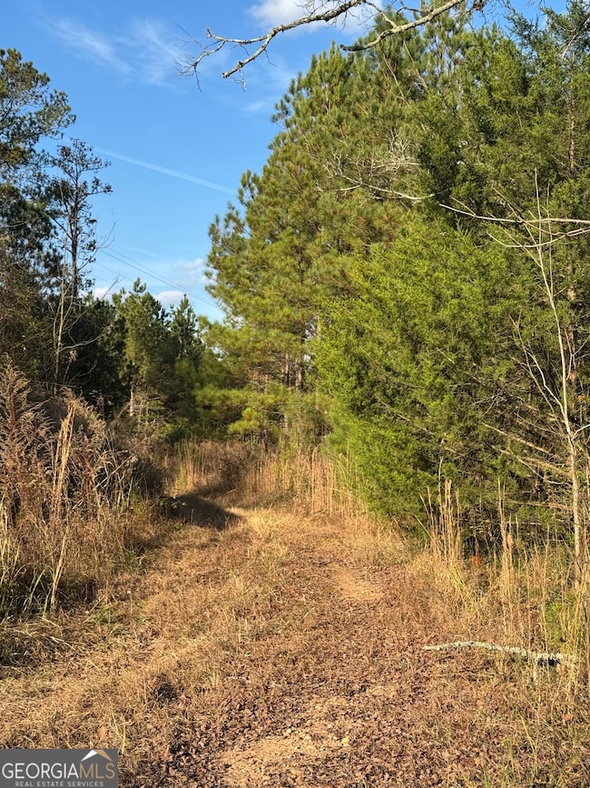 2557 Washington Hwy, Elberton, GA 30635 - photo 7