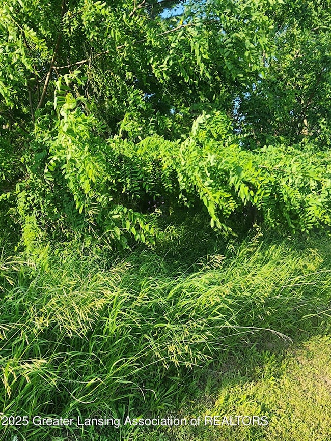 0 V/L W Sheridan Rd, Lansing, MI 48906 - photo 4