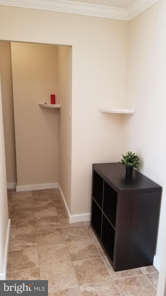 Tiber Island unit W-308, Washington, DC 20024 - photo 5