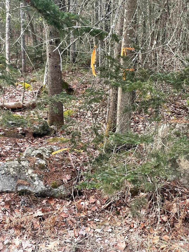 38 Tom Berry Rd, Center Barnstead, NH 03225 - photo 2