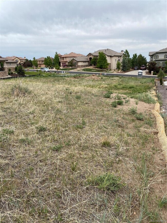 5720 Distant View Place, Parker, CO 80134 - photo 4