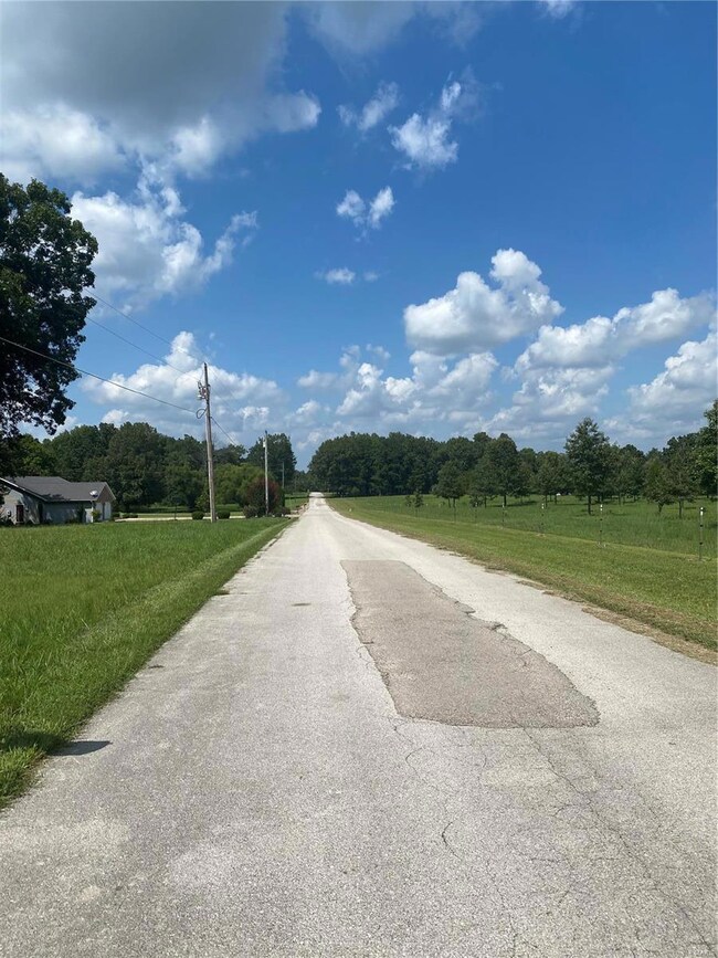 247 County Road 4703, Poplar Bluff, MO 63901 - photo 2