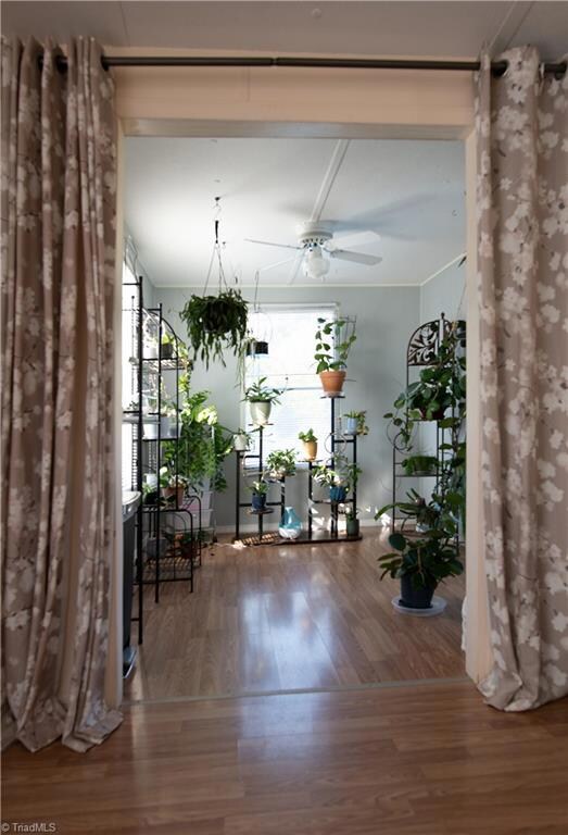 4643 Buffalo Ford Rd, Asheboro, NC 27205 - photo 4