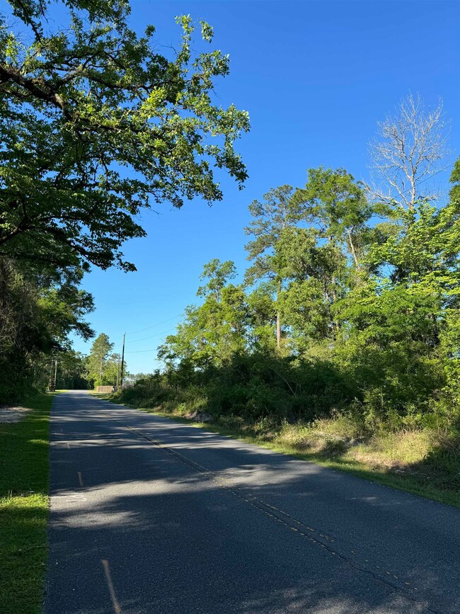 0 Old Bethel Rd, Crawfordville, FL 32327 - photo 7