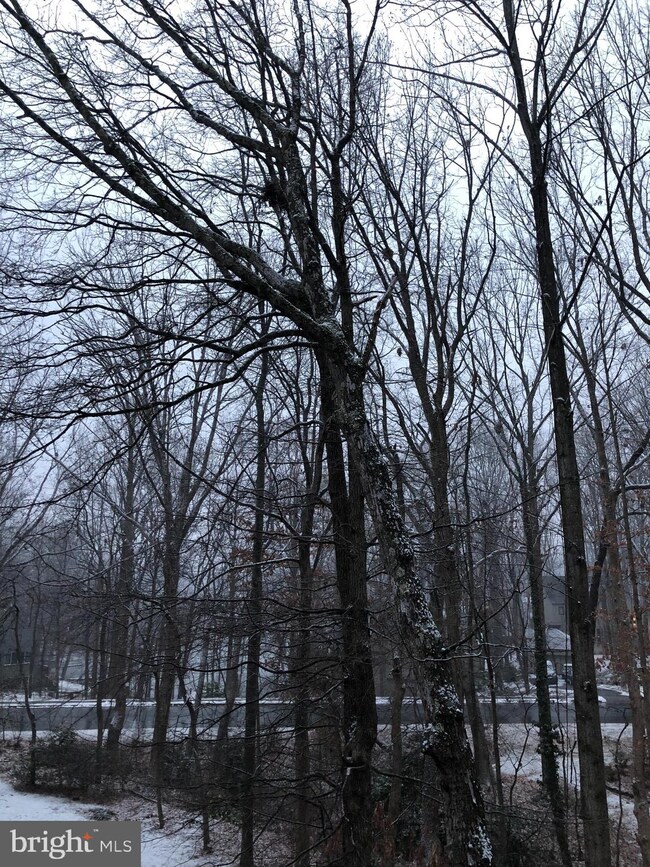 1970 Winterport Cluster, Reston, VA 20191 - photo 6