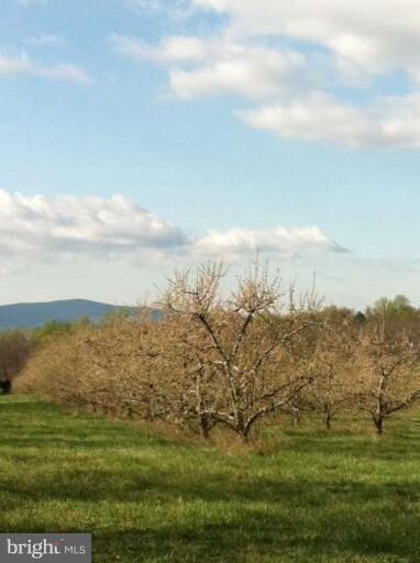 0 Buffalo Marsh Rd unit 1003881718, Middletown, VA 22645 - photo 6